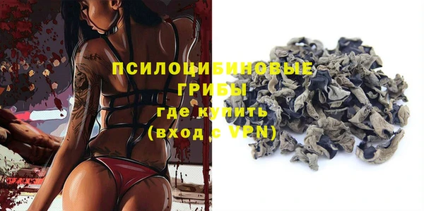 MDMA Новодвинск