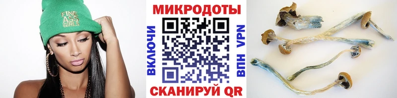 Галлюциногенные грибы Psilocybine cubensis  OMG ONION  Нестеров  дарнет шоп 
